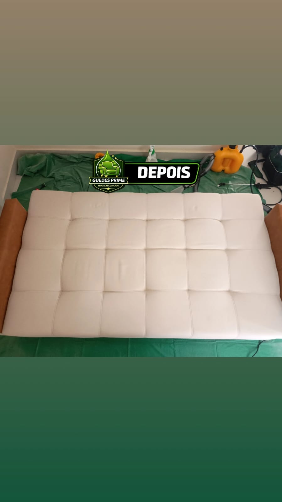 Antes e depois de higienização
